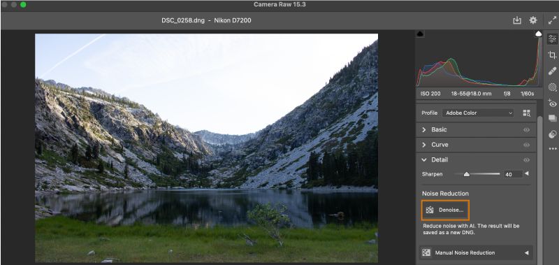 Параметр «Уменьшение шума» на панели «Детали» в Adobe Camera Raw.