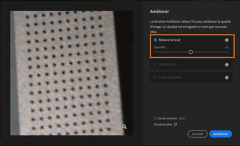 Aperçu de l’accentuation après application de l’effet Réduire le bruit à une image RAW
