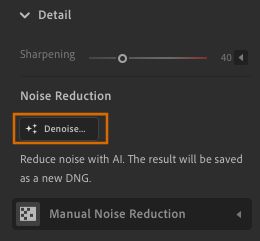 Denoise feature in the Detail panel.