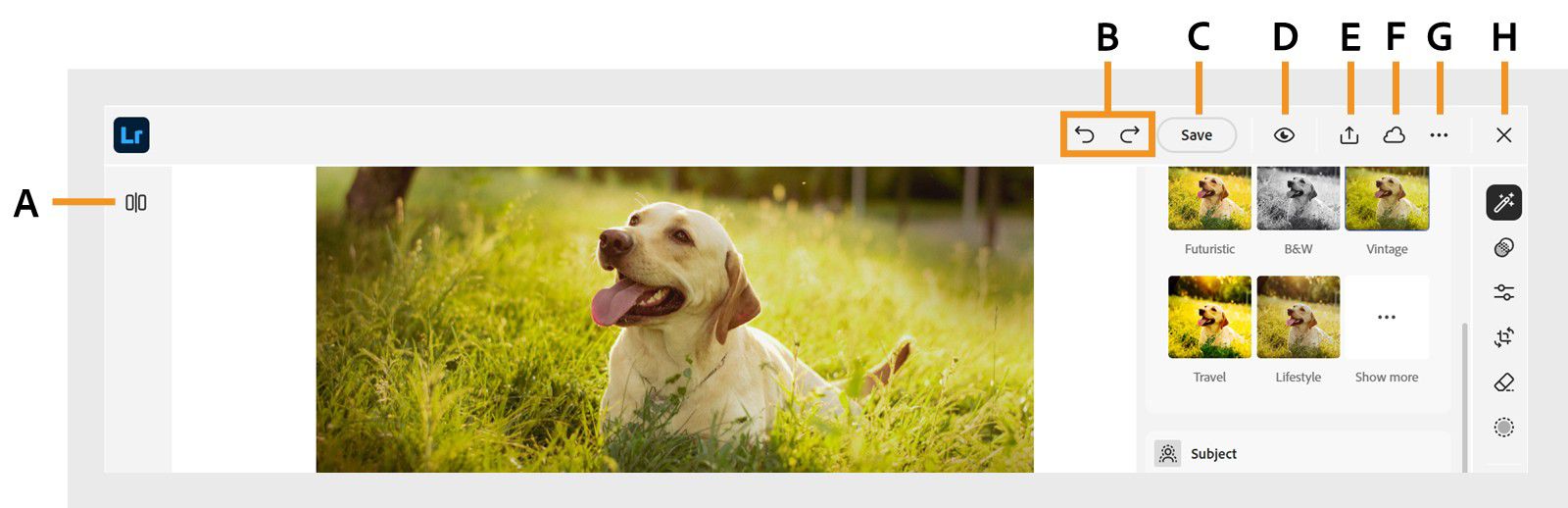 The detail view is shown with options to compare, undo or redo changes, share, manage storage, delete photo, and more.
