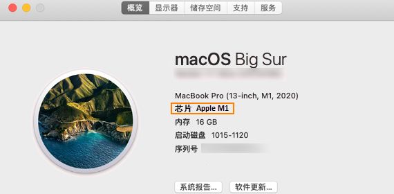 查找 Mac 所使用的芯片