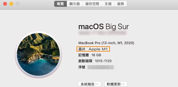 了解您的 Mac 使用哪種晶片