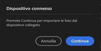 Per accedere alle foto e ai video presenti sul supporto collegato, fate clic su Continua.