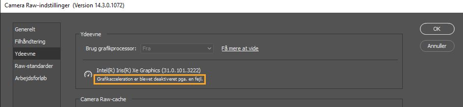 Fejlmeddelelse under indstillingen Brug grafikprocessor