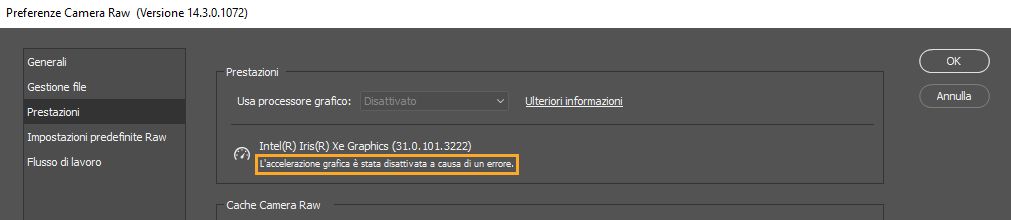 Messaggio di errore nell’opzione Usa processore grafico