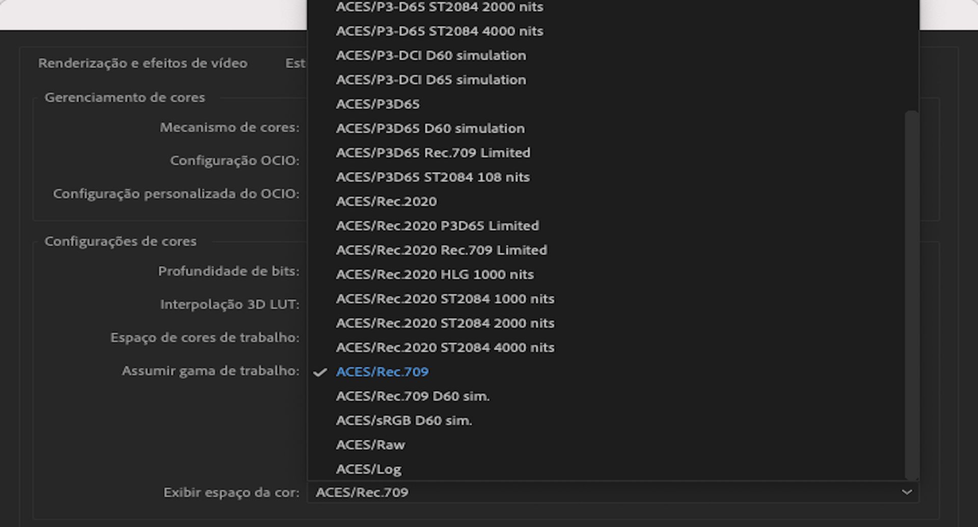 Opções de Espaço da cor de exibição