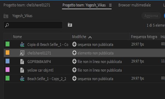 Visualizzazione del progetto team collegato