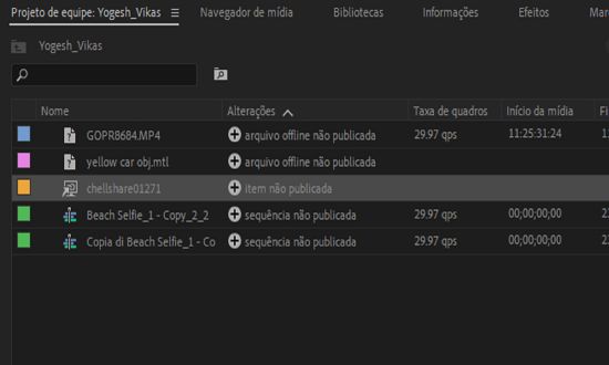 Exibição do projeto de equipe vinculado