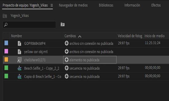 Visualización del proyecto de equipo vinculado