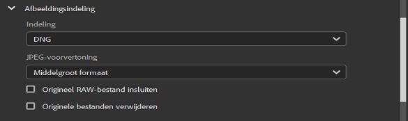 Selecteer de afbeeldingsindeling DNG.