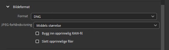 Velg DNG-bildeformat.