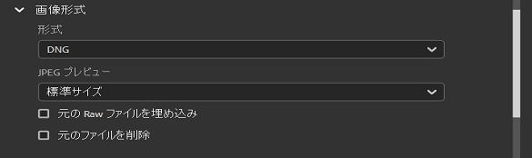 DNG 画像形式を選択します。