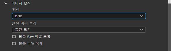 DNG 이미지 형식을 선택합니다.