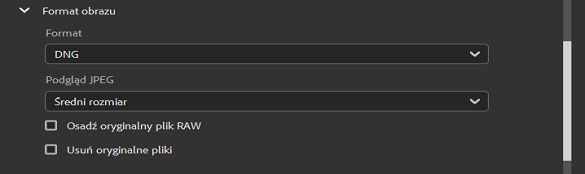 Wybierz format obrazu DNG.