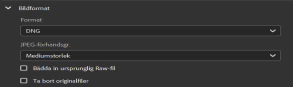 Välj bildformatet DNG.