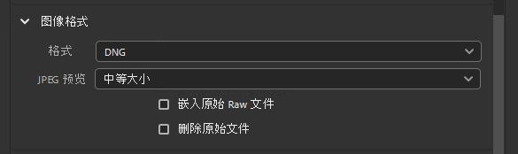选择 DNG 图像格式。