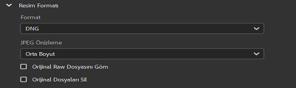 DNG görüntü formatını seçin.