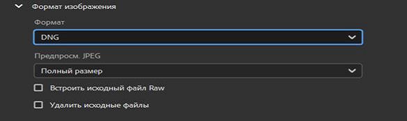 Выберите формат изображения DNG.