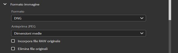 Selezionate il formato immagine DNG.