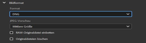 Wähle das DNG-Bildformat aus.