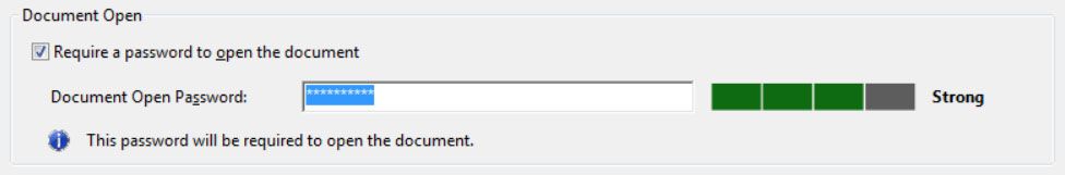 تحديد &quot;Require a Password to Open the Document&quot;