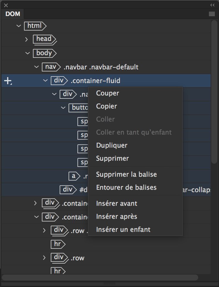 Options d’édition dans le panneau DOM