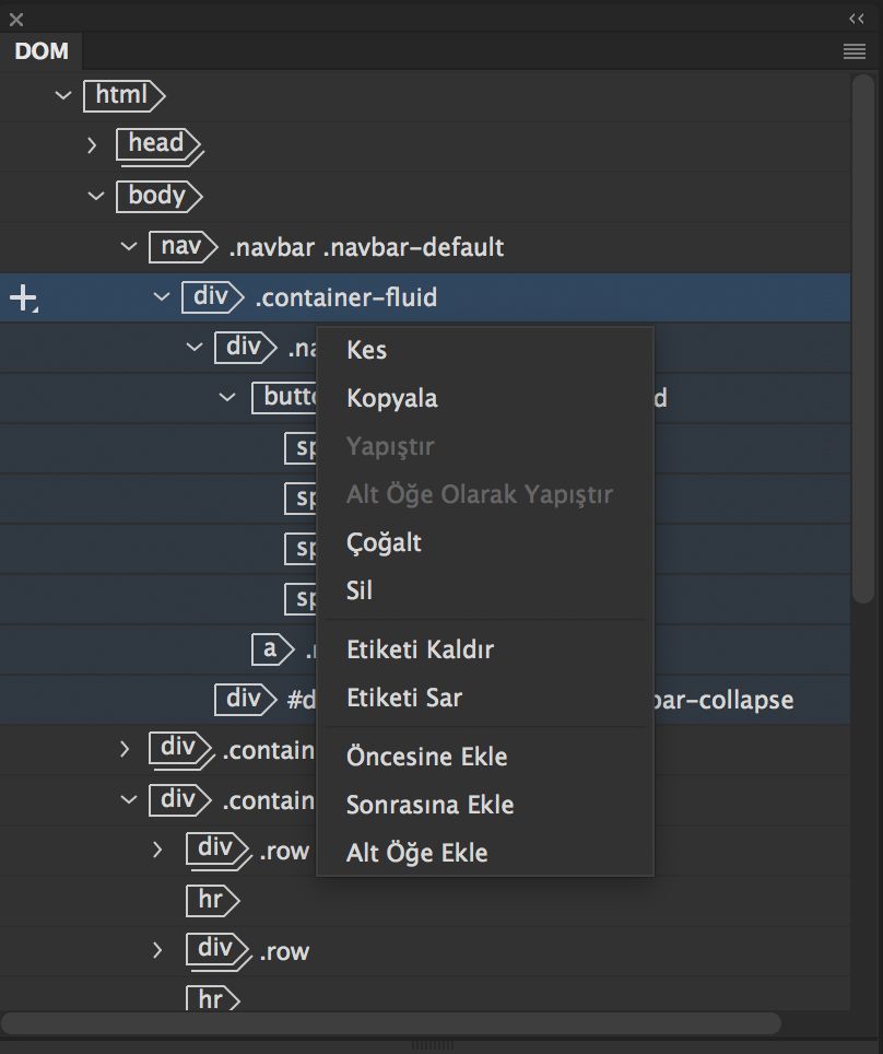 DOM panelindeki düzenleme seçenekleri