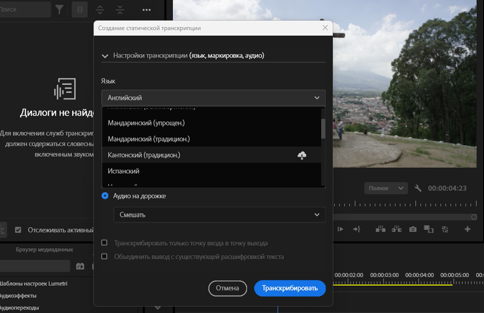 Хотя английский язык и включен в установку Premiere Pro, при необходимости можно установить дополнительные языковые пакеты.