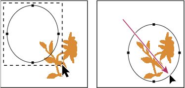 Photoshop: Přetažení cesty do nové polohy