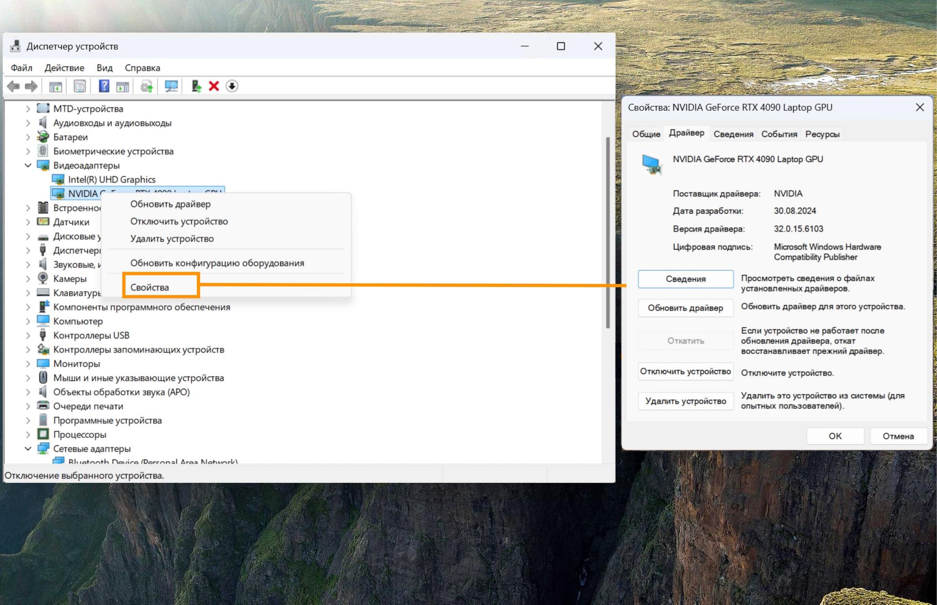 Снимок экрана, показывающий видеоадаптеры и параметр свойств, где показана информация о выбранной карте GPU.