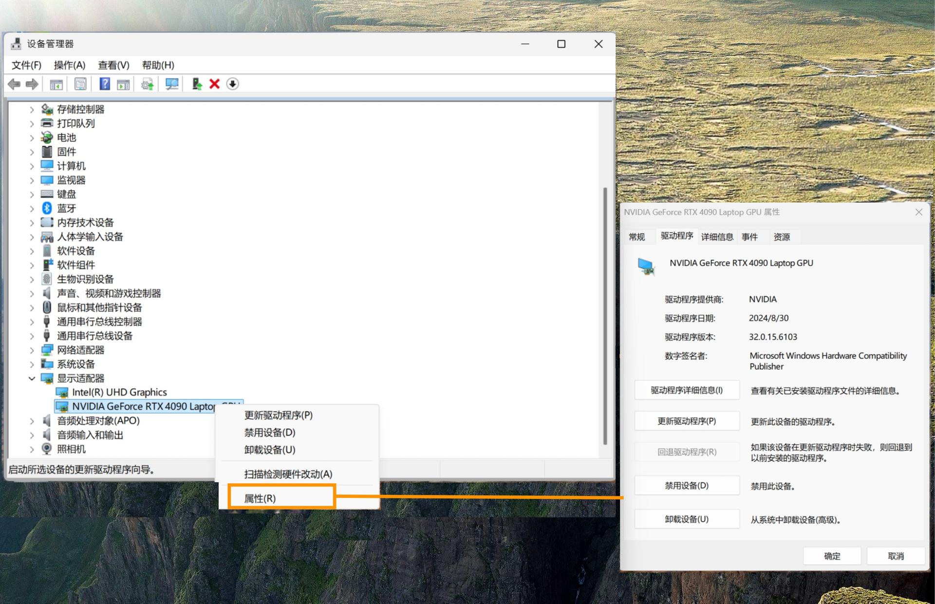 “显示适配器”和“属性选项”的屏幕截图会高亮显示，其中显示所选 GPU 卡的信息