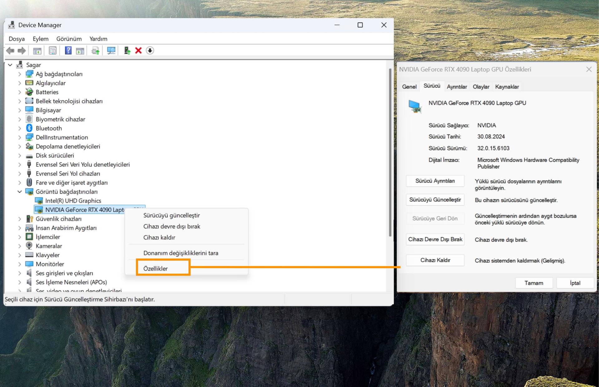 Ekran bağdaştırıcılarını gösteren bir ekran görüntüsünde seçili GPU kartının bilgilerini gösteren özellik seçeneği vurgulanmıştır