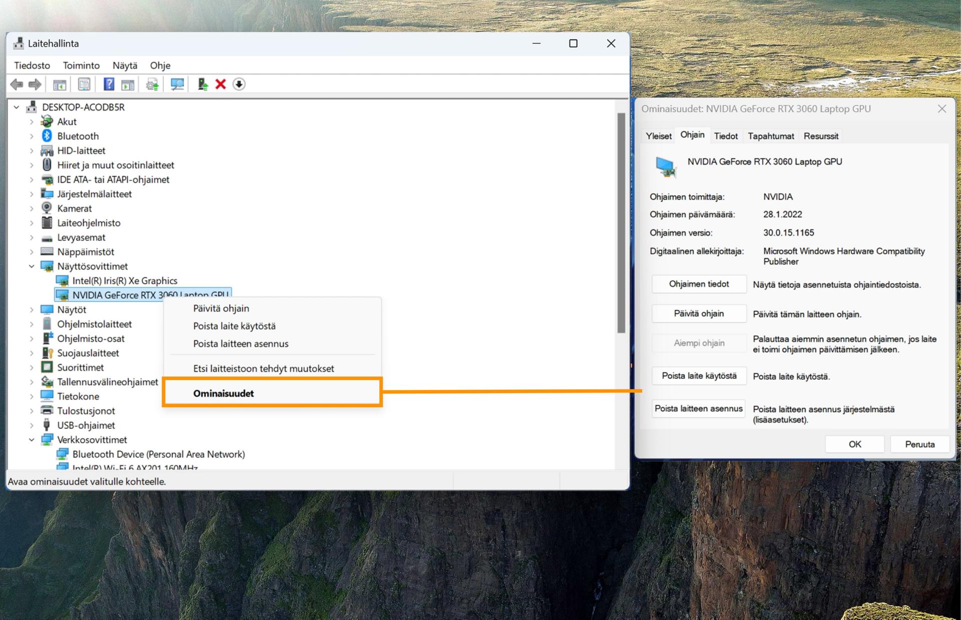 Näyttökuva, jossa näkyy näyttösovittimet, ja korostettuna on Ominaisuudet-kohta, jossa näkyy valitun näytönohjaimen tiedot