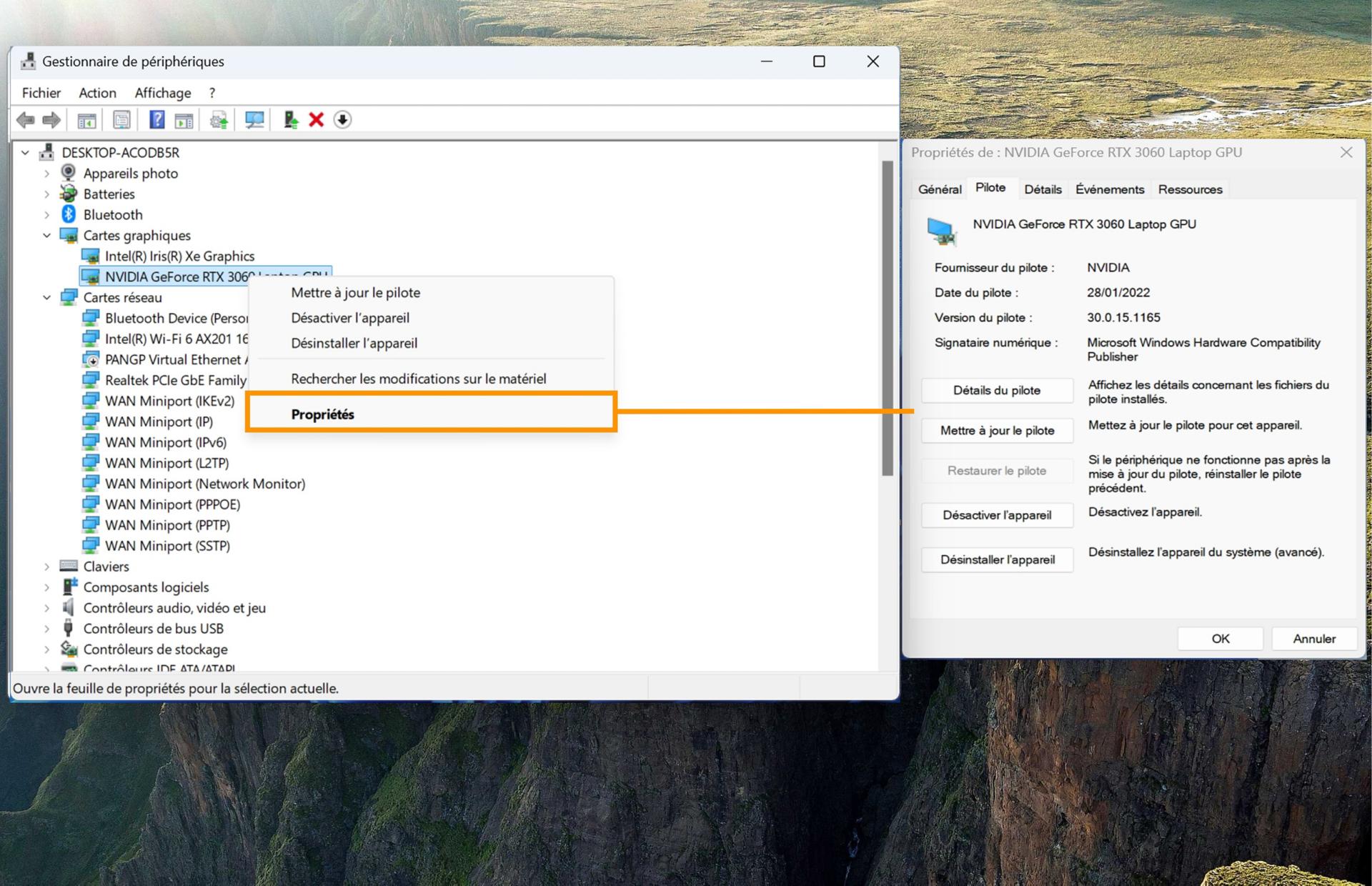 Capture d’écran montrant les cartes graphiques avec l’option Propriétés mise en évidence, qui présente les informations relatives à la carte GPU sélectionnée