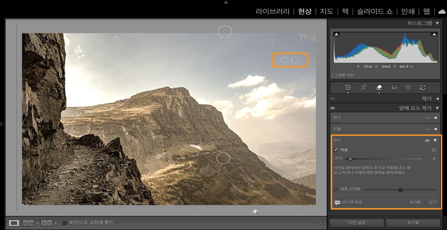 Lightroom Classic에서 카메라 센서로 인한 먼지 얼룩이 강조 표시된 산 이미지가 불필요한 요소 제거 패널과 함께 열려 있습니다. 먼지 기능을 사용하면 이러한 센서 먼지 얼룩을 제거할 수 있습니다.