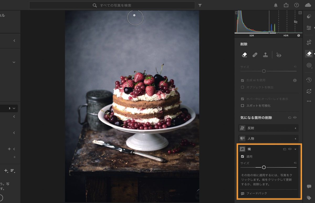 Lightroom の削除パネルで開かれたケーキとナイフの画像。ダスト機能を適用して、センサーのダストスポットを削除します。