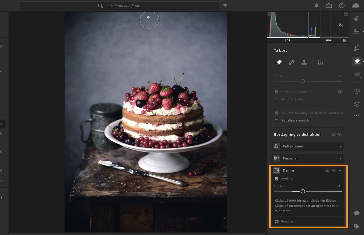 Bild på en tårta med kniv öppnad i Lightrooms Remove panel.Dust-funktionen används för att ta bort sensordammfläckar.