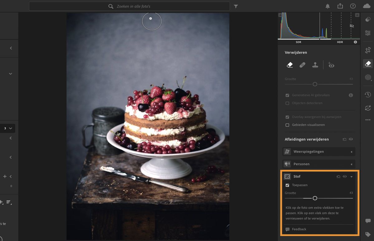 Afbeelding van een taart met mes geopend in het Remove-paneel van Lightroom.De Dust-functie wordt toegepast om de stofvlekken van de sensor te verwijderen.