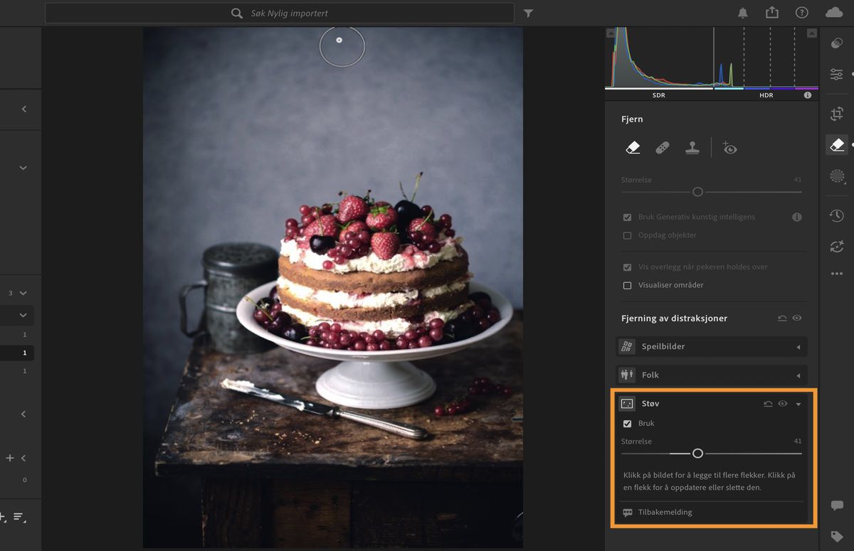 Bilde av en kake med kniv åpnet i Lightrooms Remove-panel.Støvfunksjonen er brukt for å fjerne sensorstøvflekker.