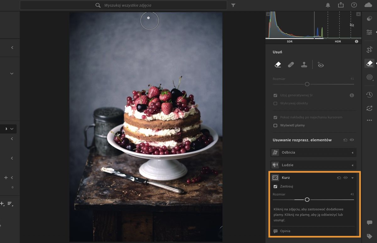 Obraz ciasta z nożem otwarty w panelu Remove programu Lightroom.Funkcja Dust została zastosowana w celu usunięcia plam kurzu z matrycy.