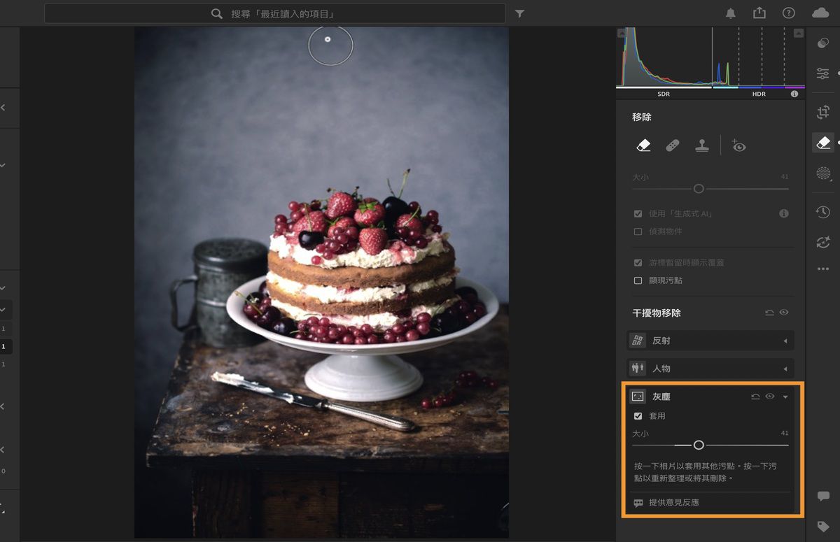 在 Lightroom 的「移除」面板中開啟了內含蛋糕和刀子的影像。已套用除塵功能來移除感應器灰塵污點。