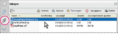 Deelvenster Bijlagen in Acrobat
