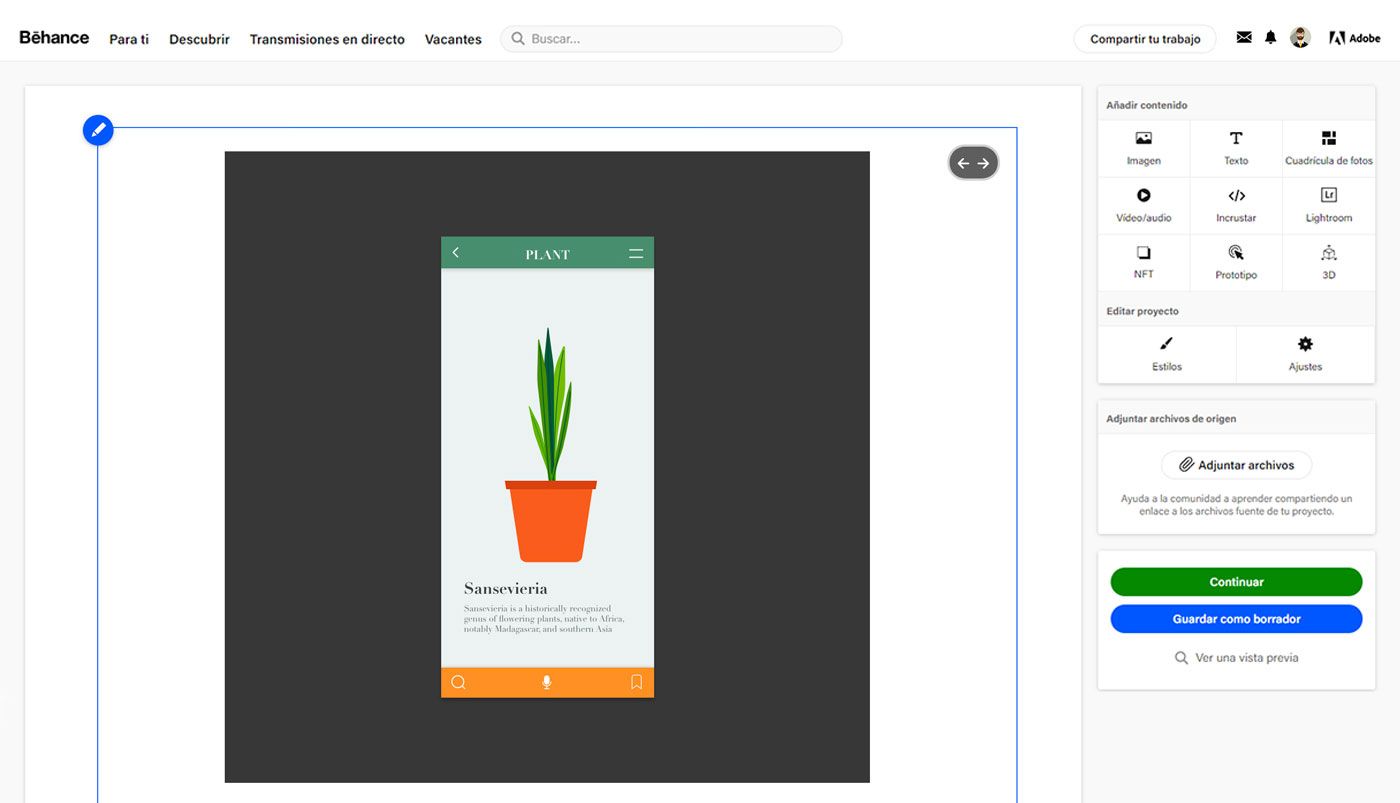 Haga clic en Continuar para publicar el proyecto