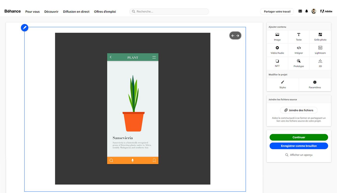 Cliquez sur Continuer pour publier le projet