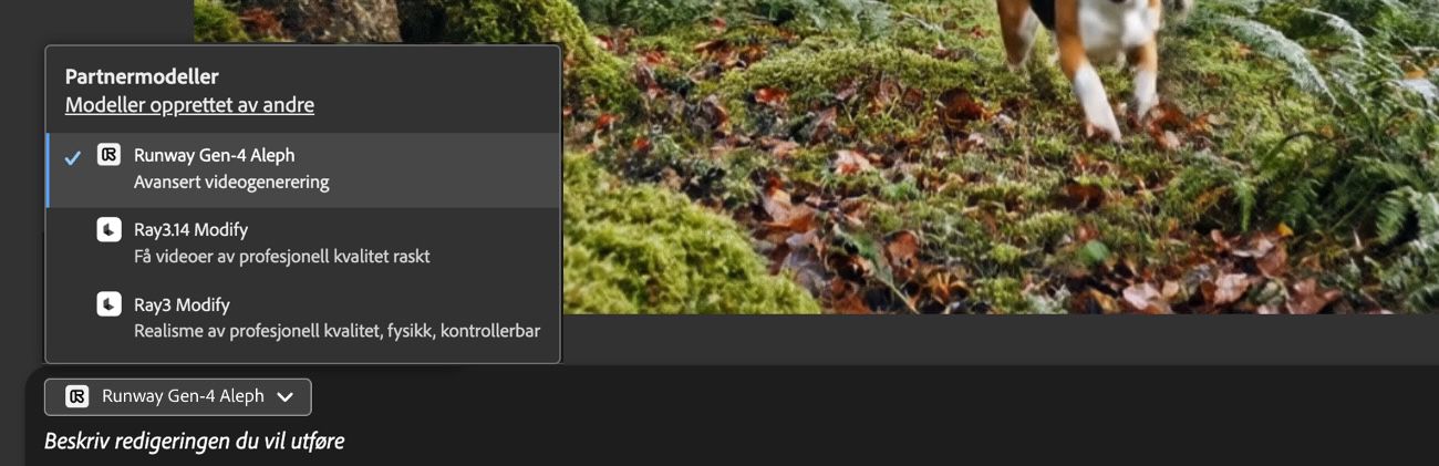 Modellnedtrekksmenyen er åpen, og en partnervideomodell er valgt for å redigere videoen.