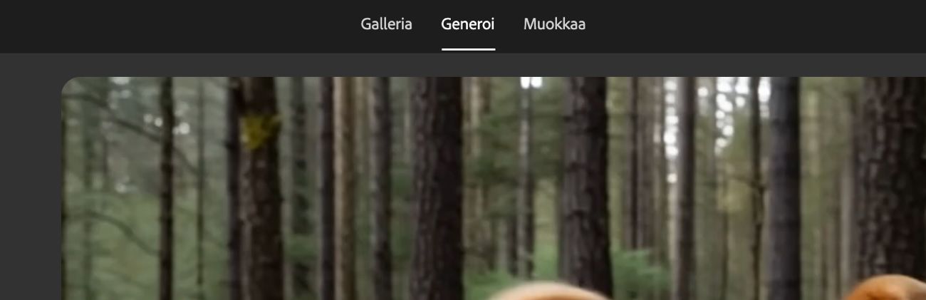 Generoi-välilehti on korostettuna, ja voit tehdä generoituun videoon lisämuokkauksia.