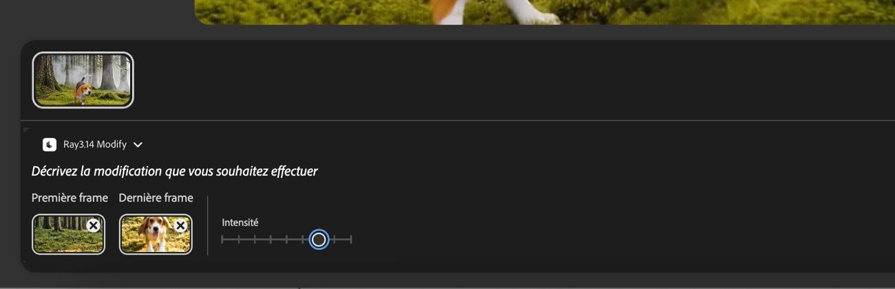 La première image et la dernière image sont ajoutées, et le curseur Force est mis en évidence pour ajuster la cohérence de la sortie générée avec les images chargées.