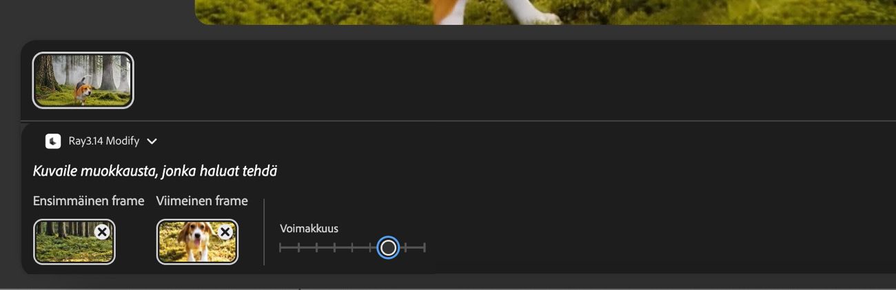 Ensimmäinen ja viimeinen ruutu on lisätty, ja korostettuna näkyy Voimakkuus-liukusäädin, jolla voi säätää, kuinka tarkasti generoitu lopputulos vastaa ruutuihin ladattuja kuvia.