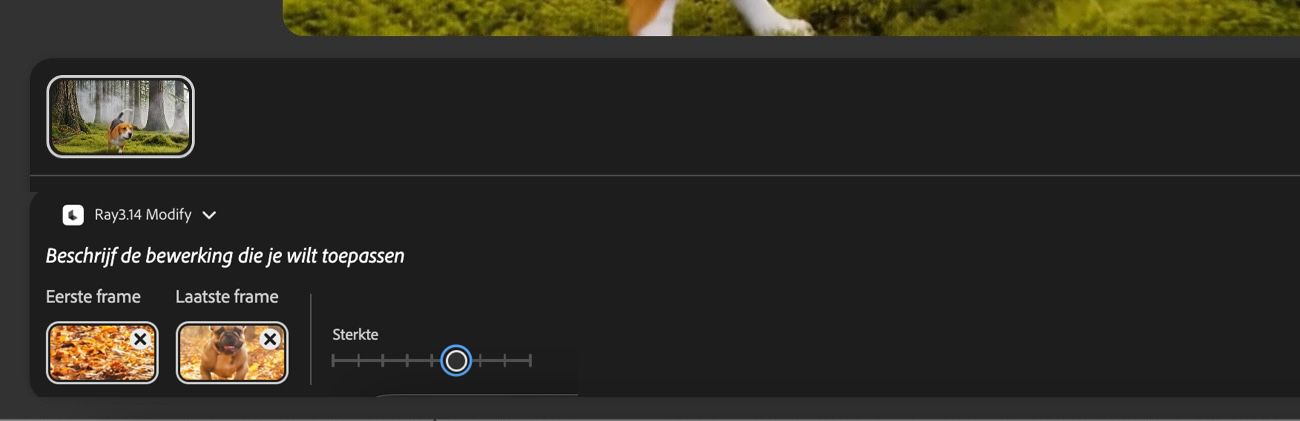 Het eerste frame en laatste frame zijn toegevoegd, en de schuifregelaar Sterkte is gemarkeerd zodat je de mate waarin de gegenereerde output overeenkomt met de geüploade frames aan kunt passen.