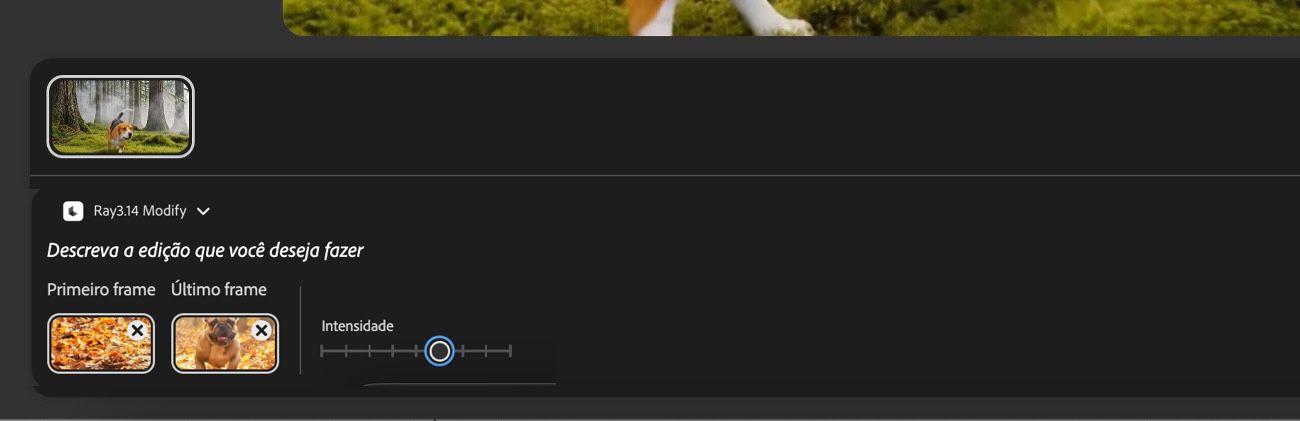 O Primeiro quadro e o Último quadro são adicionados, e o controle deslizante de Intensidade é realçado para ajustar a adesão da saída gerada aos quadros carregados.